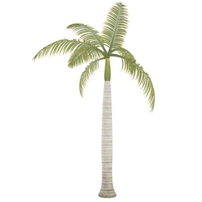 Royal Palm Plants Manufacturers in Saharanpur 