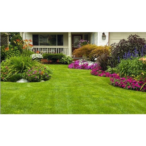 Garden landscaping service Manufacturers in Saharanpur 